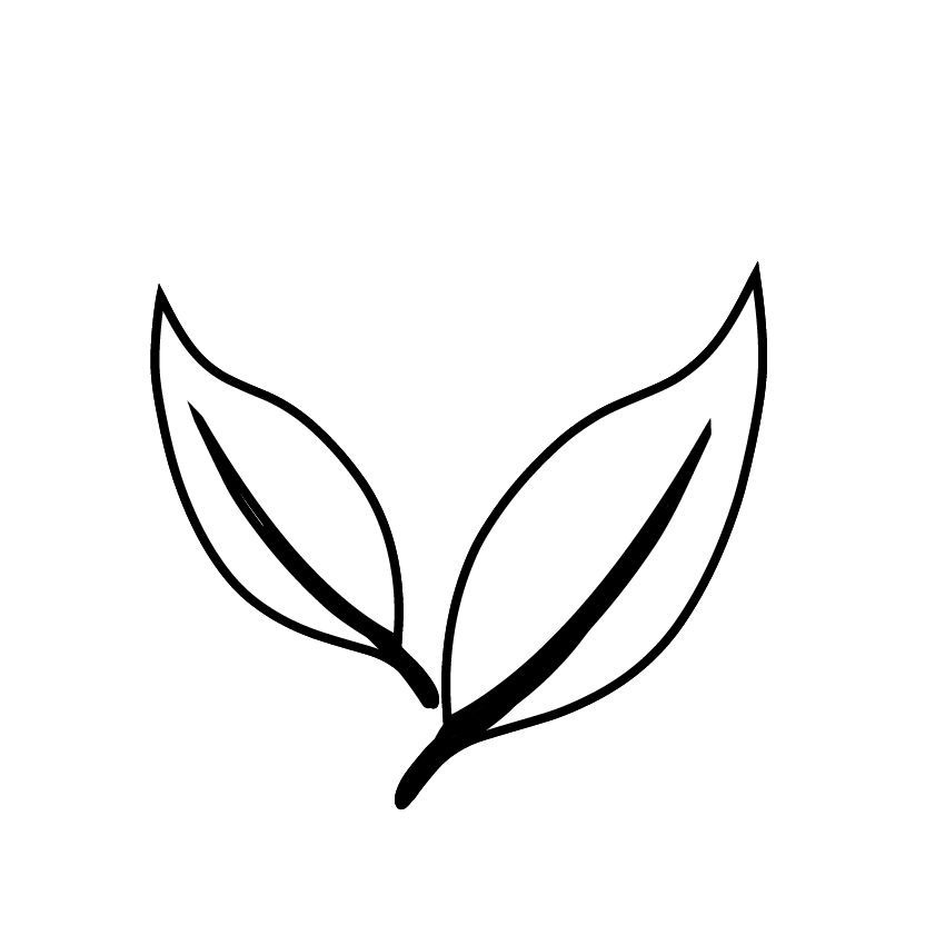 Fermy - AN EGGSTRAORDINARY PROTEIN - Vegan